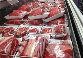 توزیع گوشت قرمز گرم وارداتی تا 2 روز دیگر